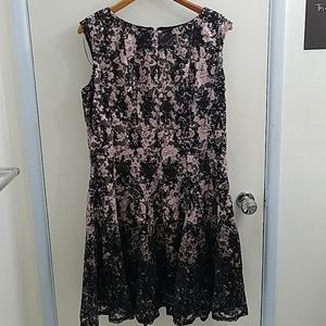 NWT Danny & Nicole lace A line dress